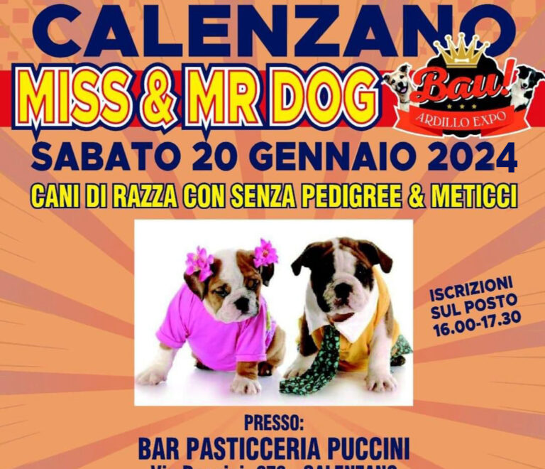 Miss&Mr Dog<br><br>Calenzano